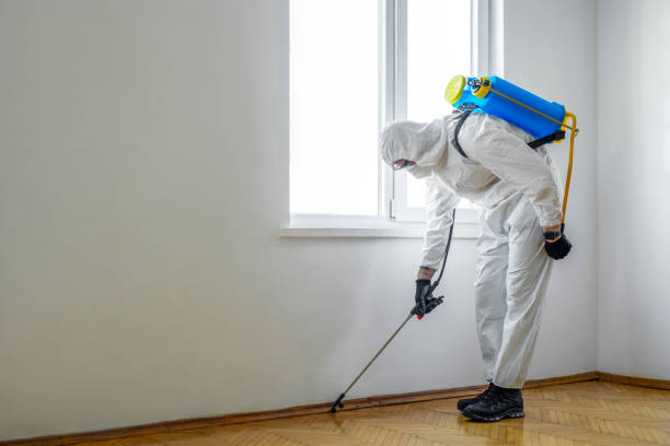 Emergency Pest Control Services in Waterflow, NM